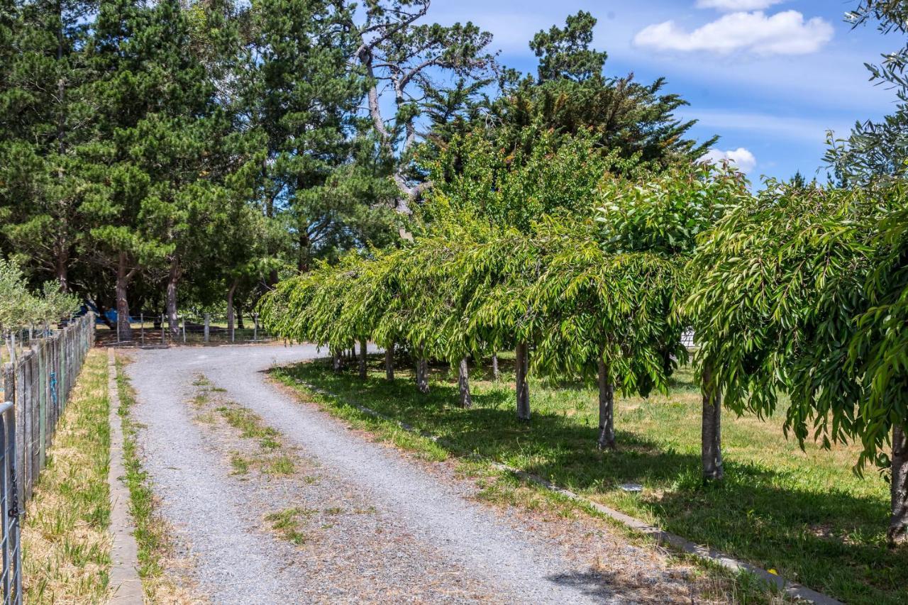 Brooklands Cottage The Award Winning Villa Martinborough Exterior photo